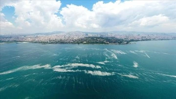 &quot;Marmara Denizi'ni kaybetme tehlikesiyle karşı karşıyayız&quot;