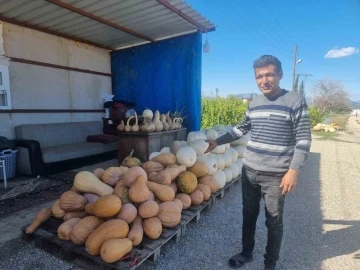 Ramazan’ın gözde tatlısının yapıldığı bal kabağına talep arttı
