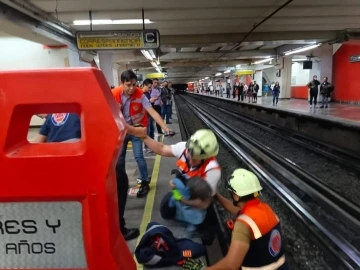 Raylara giren tavuk metro seferlerini aksattı
