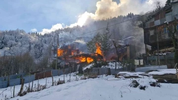 Rize'de çıkan yangında 2 ev, 1 otomobil zarar gördü