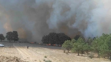 Rüzgar, ormandaki söndürme çalışmalarını zorlaştırıyor
