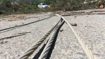 Rüzgarda devrilen asırlık ağaç yolu ulaşıma kapattı
