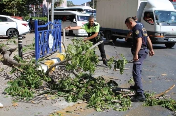 Rüzgarda kopan dal az daha canından ediyordu
