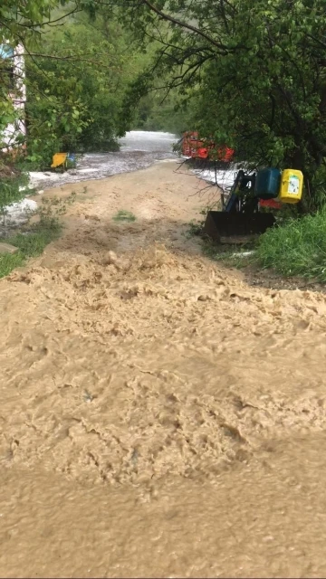 Sağanak yağış ve dolu sonrası su basan ev ve ahırlarda hayvanlar mahsur kaldı
