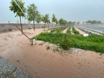 Sağanak yağışlar Kırşehir’in ilçelerini vurdu
