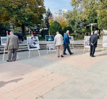 Sağlık çalışanlarının zorlu mücadelesi &quot;100 Yıldır Aynı Aşk ve Heyecanla&quot; sergisinde anlatıldı
