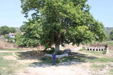 Şahnalı’nın tarihi Sekizpınarlar’ı eski günlerine kavuşmayı bekliyor
