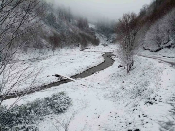 Sakarya’nın yüksek kesimleri beyaza büründü
