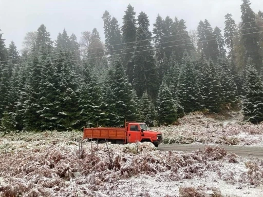 Sakarya’nın yüksek kesimleri kısmen beyaza büründü
