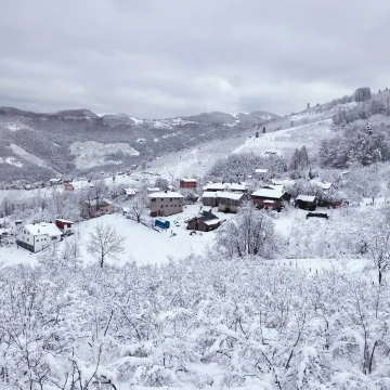 Sakarya’nın yüksek kesimlerine kar ile gelen güzellik
