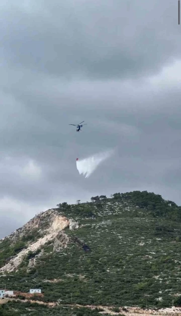 Samandağ’da çıkan orman yangını kontrol altına alındı