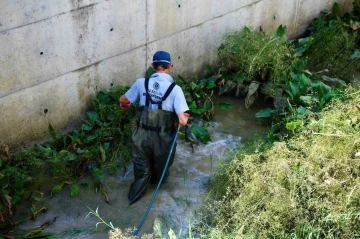 Samsun Büyükşehir’den 22 bin 500 noktada vektörlerle mücadele
