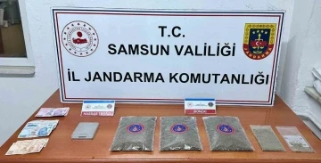 Samsun’da jandarma 1 kilo 50 gram bonzai ele geçirdi: 1 gözaltı
