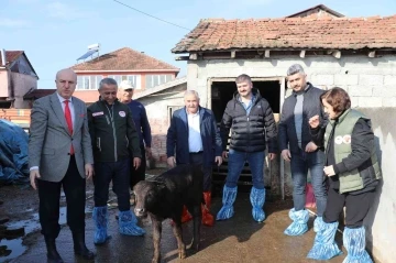 Samsun’da mandalara suni tohumlama projesi meyvelerini veriyor
