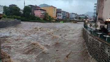 Samsun'un Salıpazarı ilçesinde şiddetli yağış etkili oldu