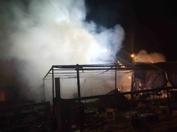 Sancaktepe’de ahır ve kümes alev alev yandı: 30 tavuk telef oldu
