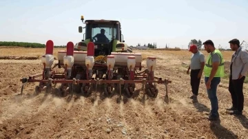 Şanlıurfa Büyükşehir Belediyesi mısır ekimine başladı
