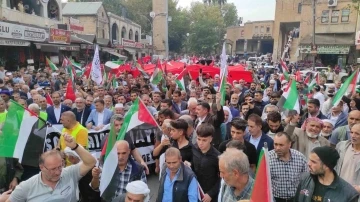 Şanlıurfa’da binlerce kişi Filistin için yürüdü
