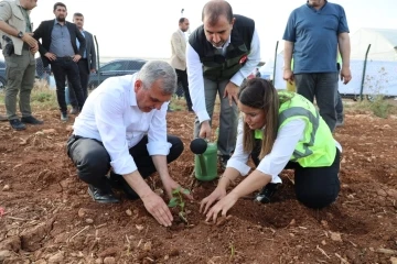 Şanlıurfa’da çiftçilere isot fidesi dağıtıldı
