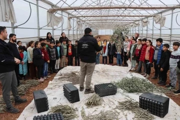 Şanlıurfa’da öğrenciler tarımla buluşturuldu
