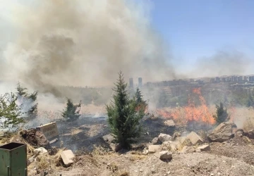 Şanlıurfa Orman Bölge Müdürlüğü bahçesinde çıkan yangın korkuttu
