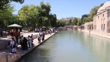 Şanlıurfa'da 20 Ağustos'a kadar gölgede kalın uyarısı