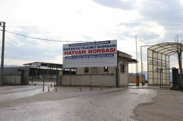 Şap alarmı hayvan pazarlarını kapattırdı: Yasağa uymayanlara 46 bin lira ceza kesilecek
