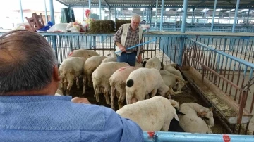 Şap hastalığı nedeniyle kapatılan hayvan pazarı Kurban Bayramı için tekrar açılıyor
