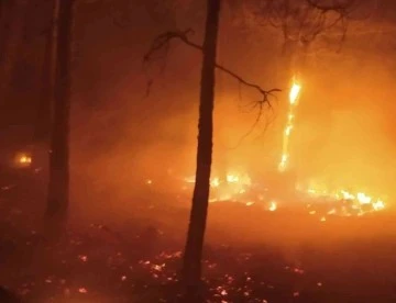 Denizli'de orman yangını! Ekipler müdahale ediyor 