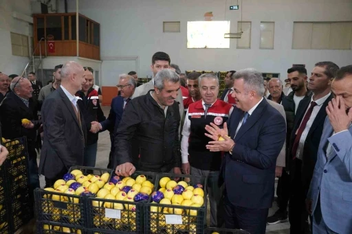 Satsuma mandalinası Balkanlar ve Avrupa yolunda
