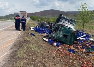 Sebze ve meyve yüklü tır devrildi, sürücü yaralandı
