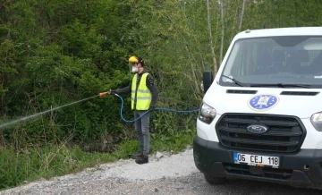 Şehrin farklı noktalarında ilaçlama faaliyetleri
