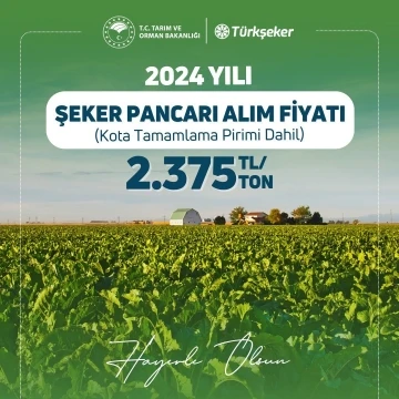 Şeker pancarında 2024 yılı alım fiyatı ton başına 2 bin 375 lira olarak belirlendi
