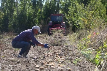 Selçuklu Belediyesi tarımsal üretime katkı sağlamaya devam ediyor
