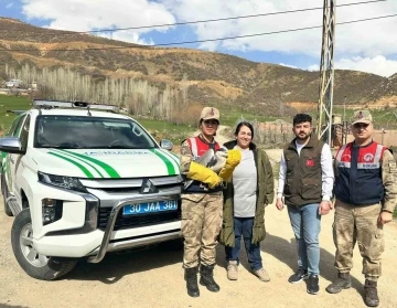 Şemdinli’de gri balıkçıl türü kuş bulundu
