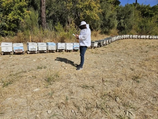 Seydikemer’de arılı kovan tespit çalışmaları devam ediyor
