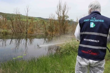 Sıcaklıkların gelmesiyle larva ile mücadele çalışmaları başladı
