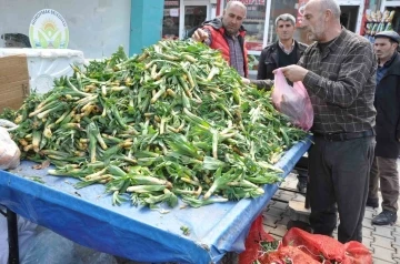 Şifa kaynağı ’Çiriş’ otu tezgahlardaki yerini aldı
