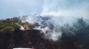 Siirt’te anız yakan 5 kişiye 34 bin lira ceza kesildi
