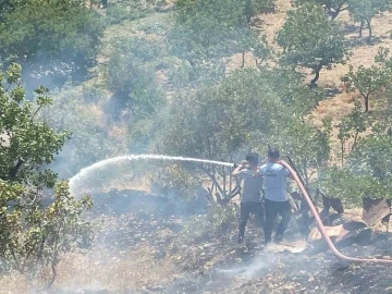 Siirt’te fıstık bahçesinde çıkan yangın söndürüldü
