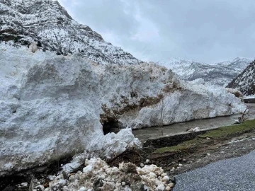 Siirt’te kar nedeniyle yolda mahsur kalan araçlar kurtarıldı
