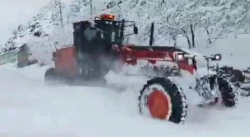 Siirt’te kara nedeniyle kapanan yollar ulaşıma açıldı
