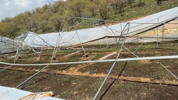 Siirt’te şiddetli rüzgar seralara zarar verdi
