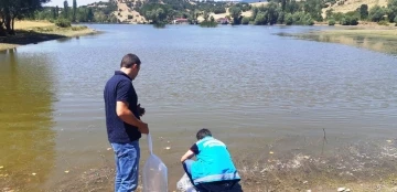 Simav’da 10 gölete 30 bin yavru sazan balığı bırakıldı
