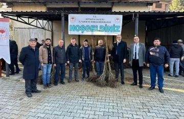 Simav’da çiftçilere 7 bin 200 adet kestane fidanı dağıtıldı
