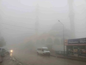 Sincik ilçesinde yoğun sis etkili oldu
