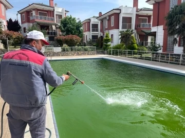 Sinek ve haşeresiz yaz için ilaçlama çalışmaları hız kazandı
