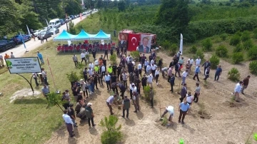 Sinop’ta 15 temmuz şehitleri anısına 251 fidan toprakla buluştu
