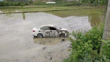 Sinop’ta otomobil çeltik tarlasına uçtu: 1 yaralı
