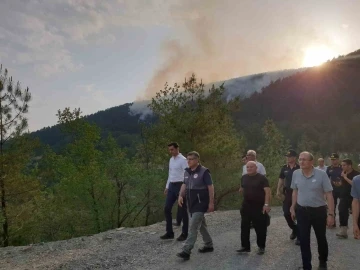 Sinop’taki orman yangını kontrol altına alındı
